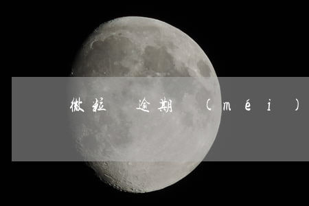 微粒貸逾期沒(méi)法微信支付