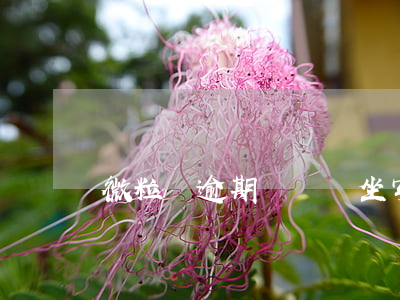 微粒貸逾期沒還會坐牢嗎