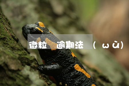 微粒貸逾期法務(wù)部加微信