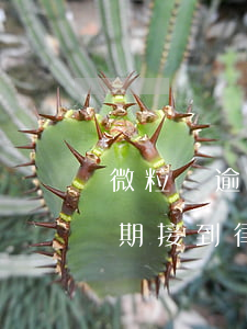 微粒貸逾期法務(wù)部加微信(微粒貸逾期接到律師電話)