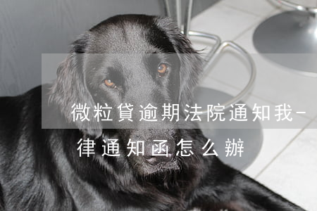 微粒貸逾期法院通知我-微粒貸逾期收到法律通知函,怎么辦