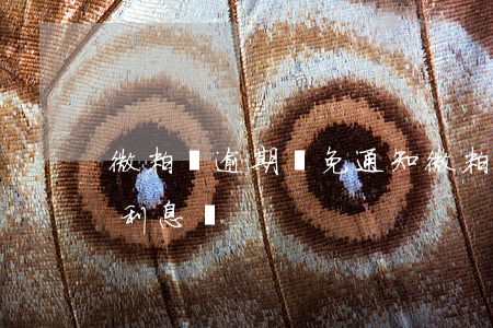 微粒貸逾期減免通知(微粒貸逾期能申請減免利息嗎)