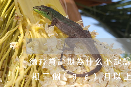 微粒貸逾期為什么不起訴(有沒有人微粒貸逾期三個(gè)月以上被起訴的)