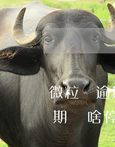 微粒貸逾期為啥停止了自動扣款-微粒貸逾期為啥停止了自動扣款呢