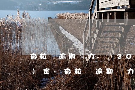 微粒貸逾期無力償還2020新規(guī)定-微粒貸逾期無力償還2020新規(guī)定解讀