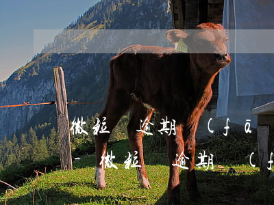 微粒貸逾期發(fā)的備案短信要求還款-微粒貸逾期發(fā)的備案短信要求還款是真的嗎