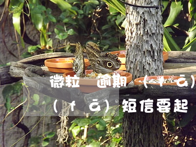 微粒貸逾期發(fā)的起訴短信(微粒貸發(fā)短信要起訴我)