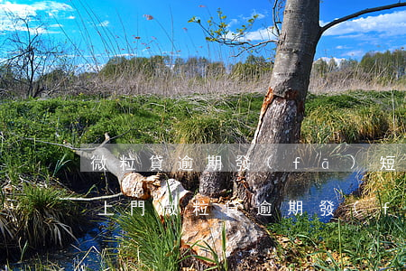 微粒貸逾期發(fā)短信說(shuō)上門(微粒貸逾期發(fā)短信說(shuō)這幾天上門真的假的)