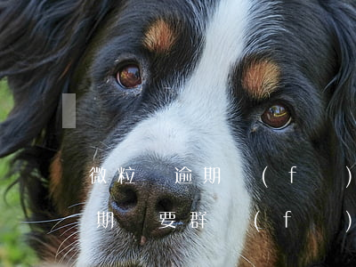微粒貸逾期發(fā)給我的信息(微粒貸逾期說要群發(fā)信息)