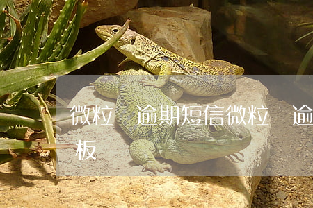 微粒貸逾期短信（微粒貸逾期微信還款信息模板）