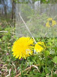 微粒貸逾期：短信通知如何向法院提出申請及申請執(zhí)行、還款