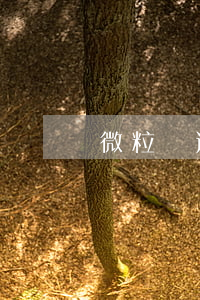 微粒貸逾期短信通知（微粒貸逾期12天短信）