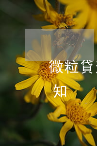 微粒貸逾期短信銀行通知(微粒貸開庭短信通知)