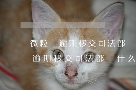 微粒貸逾期移交司法部門什么意思-微粒貸逾期移交司法部門什么意思啊