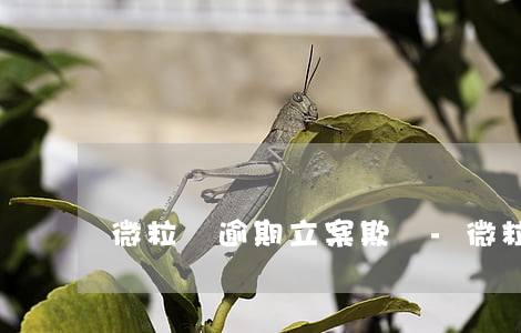 微粒貸逾期立案欺詐-微粒貸逾期屬于詐騙嗎?