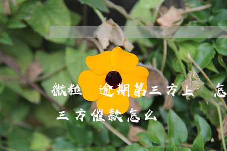 微粒貸逾期第三方上門怎么解決-微粒貸第三方催款怎么辦