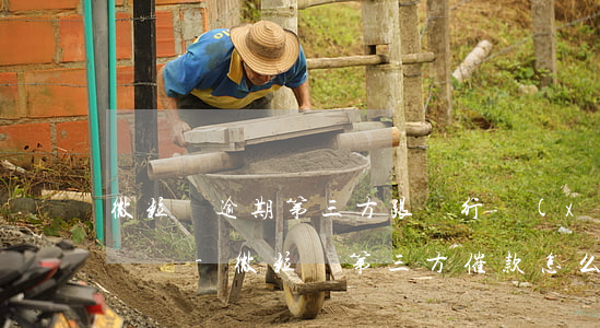 微粒貸逾期第三方跟銀行協(xié)商一樣嗎-微粒貸第三方催款怎么辦