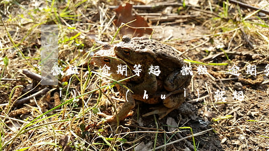 微粒貸逾期等起訴(微粒貸逾期多長時(shí)間會(huì)被起訴)