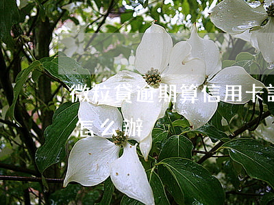 微粒貸逾期算信用卡詐騙(微粒貸是詐騙嗎我怎么辦)
