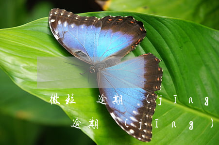 微粒貸逾期經(jīng)常上門嗎-微粒貸逾期經(jīng)常上門嗎