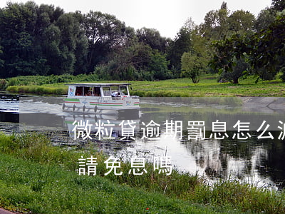 微粒貸逾期罰息怎么減免(微粒貸逾期可以申請免息嗎)