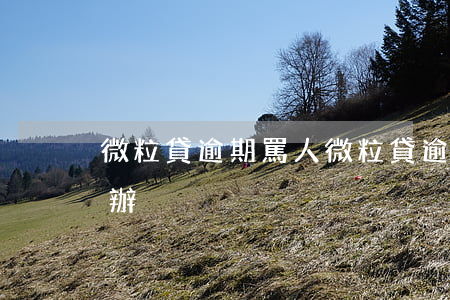 微粒貸逾期罵人(微粒貸逾期被惡意催收怎么辦)