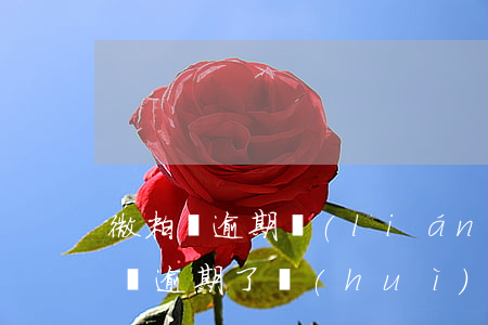 微粒貸逾期聯(lián)系微信好友(微粒貸逾期了會(huì)不會(huì)打電話聯(lián)系親戚朋友)