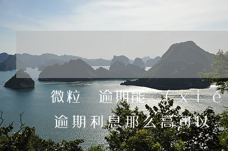 微粒貸逾期能協(xié)商停息嗎(微粒貸逾期利息那么高可以協(xié)商解決嗎)