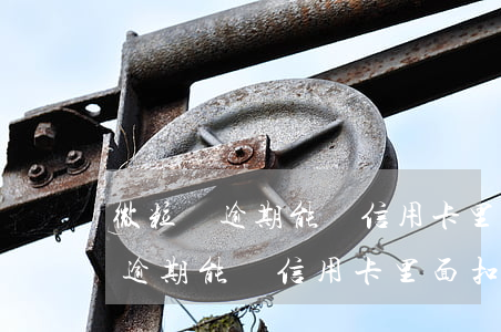 微粒貸逾期能從信用卡里面扣款嗎-微粒貸逾期能從信用卡里面扣款嗎安全嗎