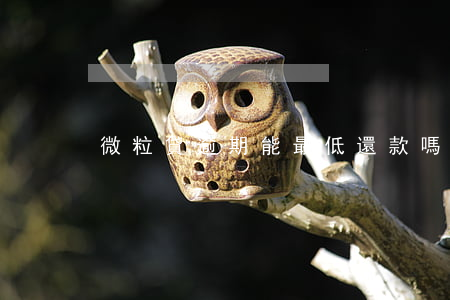 微粒貸逾期能最低還款嗎