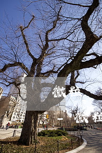 微粒貸逾期自助凍結(jié)了怎么還款-微粒貸逾期自助凍結(jié)了怎么還款啊