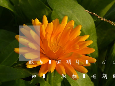 微粒貸逾期自動(dòng)扣除銀行卡里的錢-微粒貸逾期自動(dòng)扣除銀行卡里的錢怎么辦