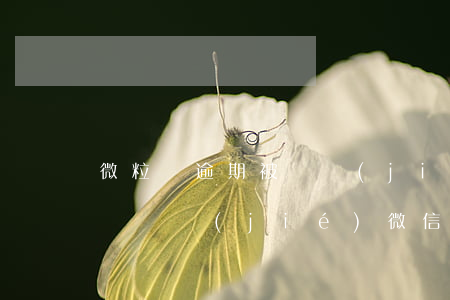微粒貸逾期被凍結(jié)（微粒貸逾期了會凍結(jié)微信上的余額）