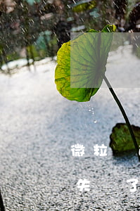 微粒貸逾期被扣款失敗了 微粒貸逾期被扣款失敗了