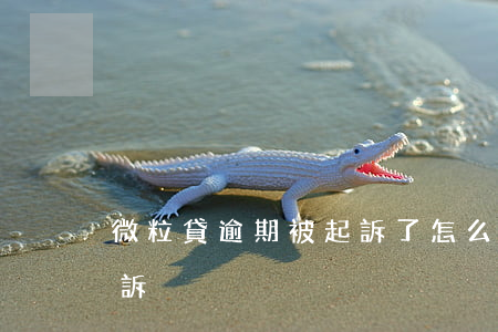 微粒貸逾期被起訴了怎么辦(微粒貸逾期要起訴)