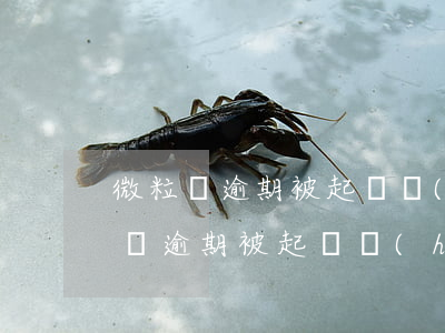 微粒貸逾期被起訴會(huì)怎么樣（微粒貸逾期被起訴會(huì)怎么樣）
