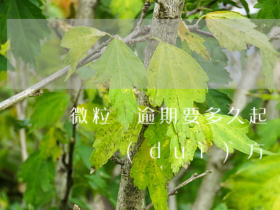 微粒貸逾期要多久起訴 微粒貸逾期要多久起訴對(duì)方