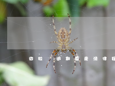 微粒貸逾期要走法律程序