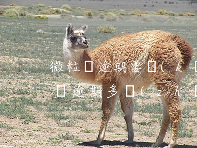微粒貸逾期要開(kāi)庭是真的嗎(微粒貸逾期多長(zhǎng)時(shí)間他會(huì)把你告上法庭)