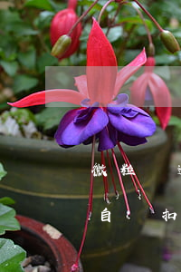 微粒貸逾期解除零錢扣款(關閉了微粒貸零錢自動扣款)
