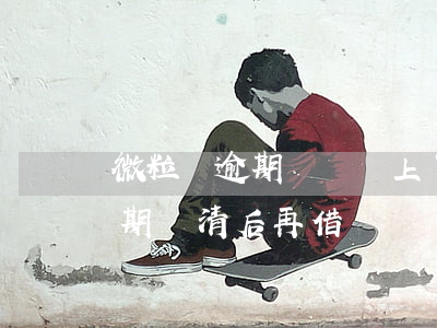 微粒貸逾期記錄還上了可以再借-微粒貸逾期還清后再借