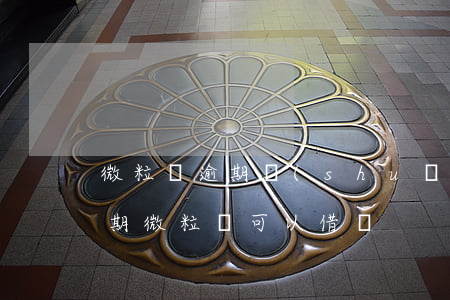 微粒貸逾期說(shuō)我惡意借款(有逾期微粒貸可以借嗎?)