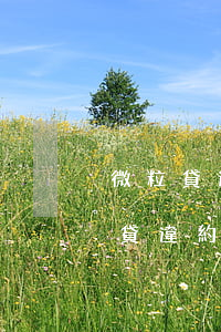 微粒貸逾期說(shuō)有違約金-微粒貸違約條款