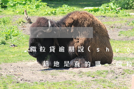 微粒貸逾期說(shuō)訪問(wèn)戶籍地是真的嗎-微粒貸逾期說(shuō)訪問(wèn)戶籍地是真的嗎嗎