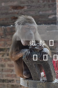 微粒貸逾期說上門簽違約書(微粒貸逾期上門簽違約責(zé)任書)