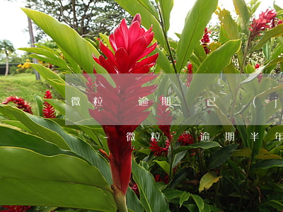 微粒貸逾期說已經(jīng)排期了怎么辦-微粒貸逾期半年今天發(fā)短信說已申請排期開庭是真的嗎