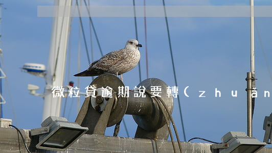 微粒貸逾期說要轉(zhuǎn)銀行