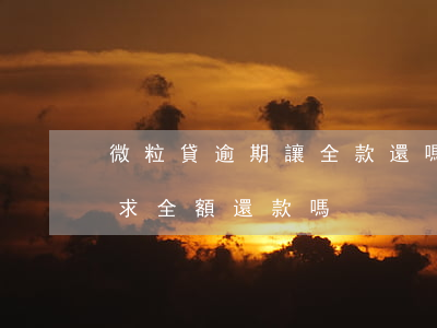 微粒貸逾期讓全款還嗎-微粒貸逾期會被要求全額還款嗎