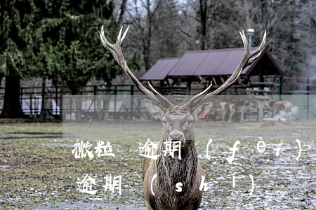 微粒貸逾期費(fèi)率最高多少(微粒貸逾期時(shí)間長了怎么辦)