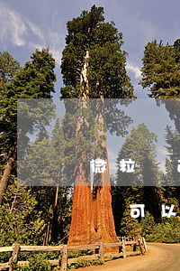 微粒貸逾期起訴多長時間(微粒貸欠款多少金額可以起訴)